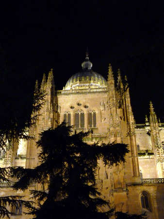 Cathedral of Salamanca in Spainの写真素材