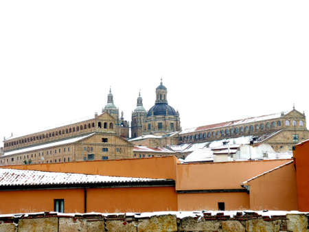 cathedral of salamanca in spainの写真素材