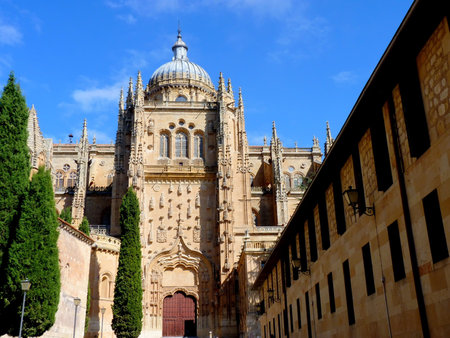 cathedral of salamanca in spainの写真素材