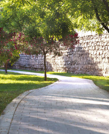 Summer Park Pathの写真素材