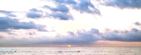 Swimming at colorful Sunrise in Mediterranean seaの写真素材
