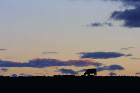 sunset 1の写真素材