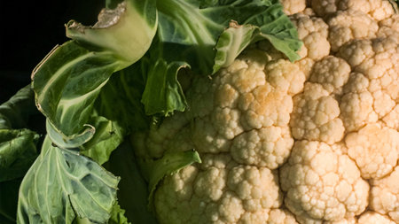 Fresh cauliflower. Cauliflower macro with abstract leaves and forms