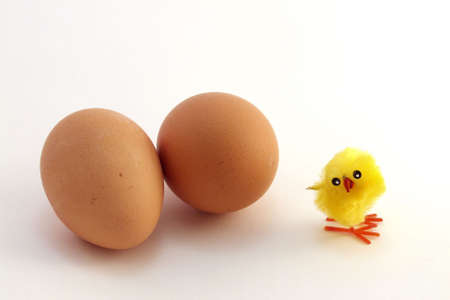 a chick and two eggs to represent Easterの写真素材