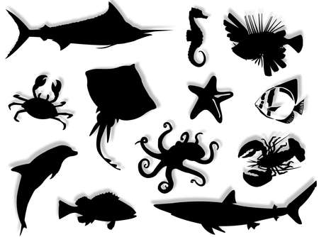 Sea-life black silhouette for this sea-life backgroundの写真素材