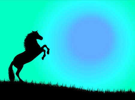 Wild horse in the countryside in the nightの写真素材