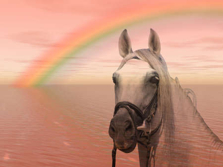 Wonderful horse under a colorful rainbowの写真素材