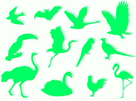 Birds silhouette to represent different speciesの写真素材