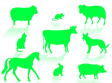 Farm animals silhouettes with shadows on a white backgroundの写真素材