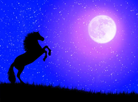 Black wild horse against a moonlight nightの写真素材