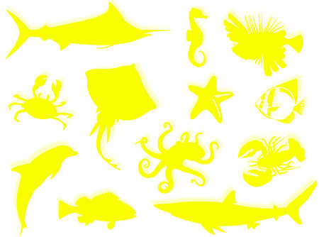 Sea-life black silhouette for this sea-life backgroundの写真素材