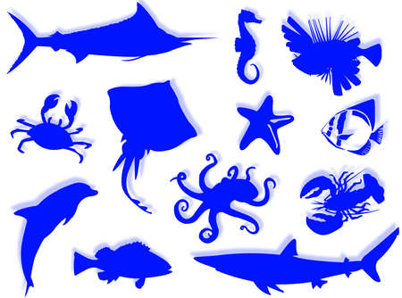 Sea-life black silhouette for this sea-life backgroundの写真素材