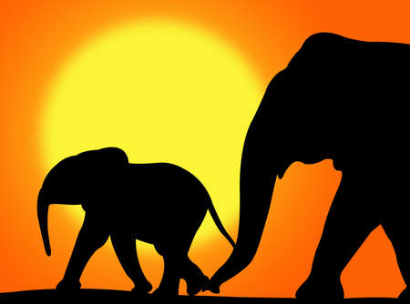 Elephant and her baby walking on a colorful sunsetの写真素材