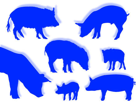 Pig and wild boar silhouettes in different posesの写真素材
