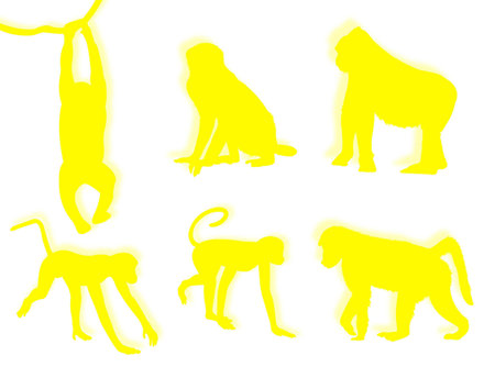 Monkey silhouettes in different poses and attitudes