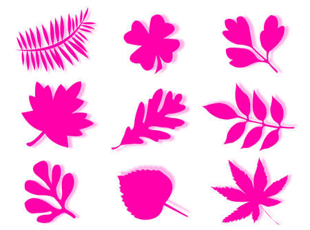 Different leaves of different trees in silhouetteの写真素材