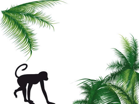 Monkey walking with the palm on the backgroundのイラスト素材