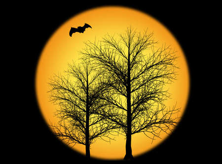 Autumn trees without leaves in the sunの写真素材