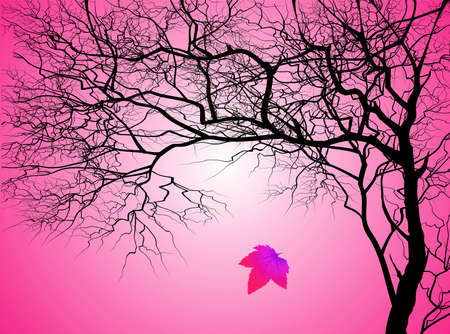 Tree without leaves on an autumn backgroundの写真素材