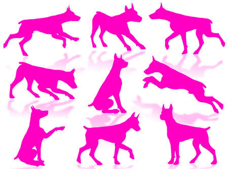 Dogs silhouette in different poses and attitudesの写真素材