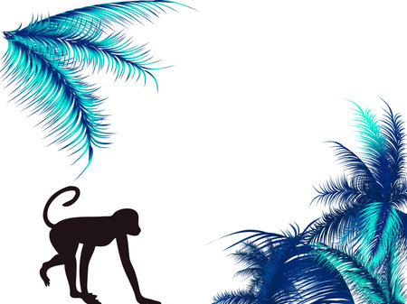 Monkey walking with the palm on the background