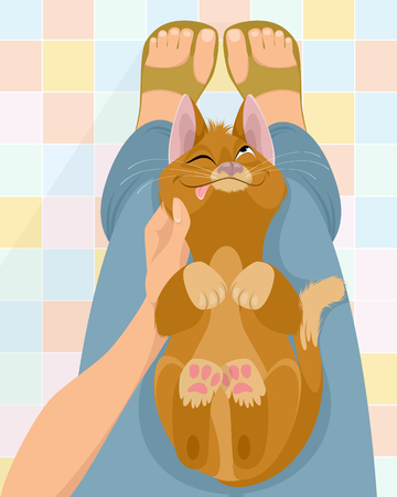 Vector illustration of cat on the lap of mistressのイラスト素材