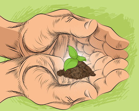 Vector illustration of a sprout in the palmsのイラスト素材
