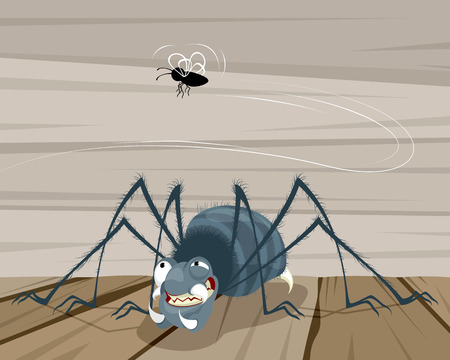Vector illustration of a fly and a spiderのイラスト素材