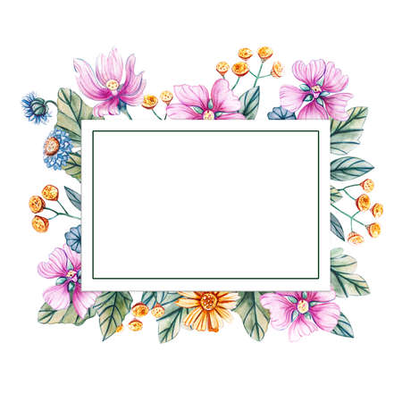 Square frame of flowers. Wildflowers.の写真素材