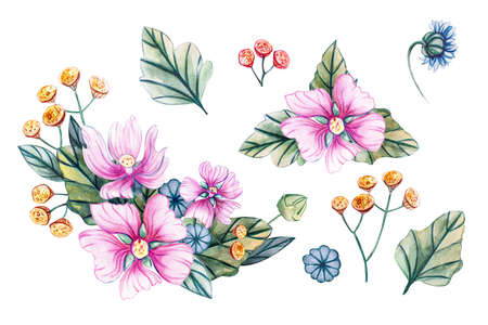 Watercolor illustrations with bouquets of wildflowers for a wedding. Floral card with pink flowers, leaves and buds of mallow. Autumn, summer and spring seasons. For wedding greetings, greeting cards.の写真素材