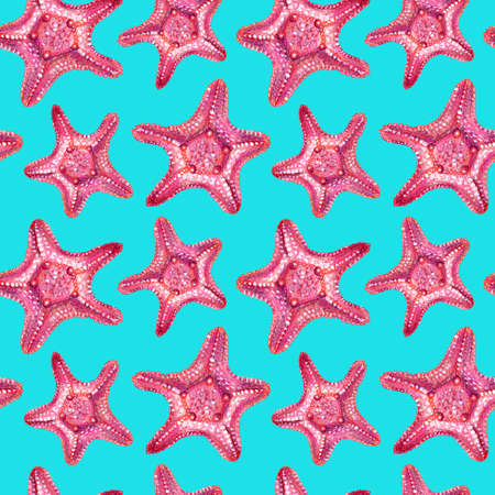 Seamless pattern with starfish. Starfish is drawn by hand with colored pencils. Isolated pink starfish on a aquamarine background. Summer sea concept.の写真素材