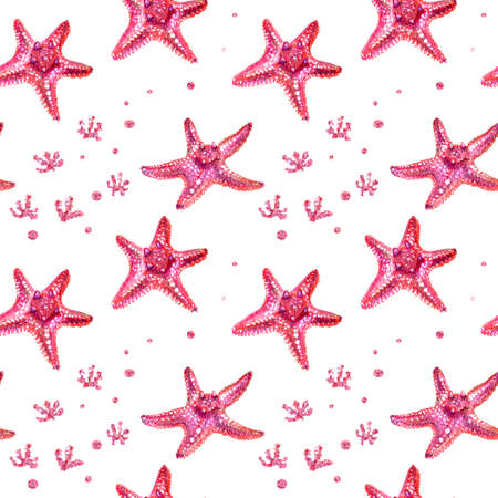 Seamless pattern with starfish and algae. Starfish is drawn by hand with colored pencils. Isolated pink starfish on a white background. Summer sea concept.の写真素材