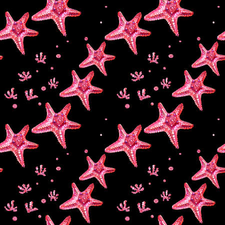 Seamless background with starfish and algae. Starfish is drawn by hand. Isolated pink starfish located on a black background. Summer sea concept.の写真素材