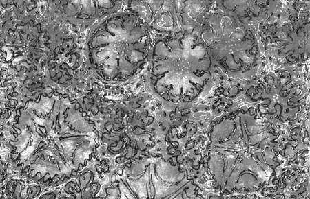 Monochrome abstract grunge background. Gray rough texture with scratches, dots and lines, with contours of colors. Tone transitions, white contours of daisies, daisies and algae. Hand drawing.の写真素材