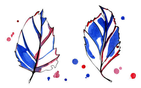 Two watercolor stylized graphic autumn leaves. Hand-painted with black, blue and red ink with early color drops on the background. Isolated objects on white background.の写真素材