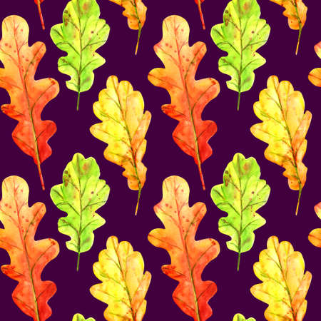Seamless pattern with autumn oak leaves. Watercolor fallen leaves of green, orange and red with colorful drops and splashes on a purple background. Template for design.の写真素材