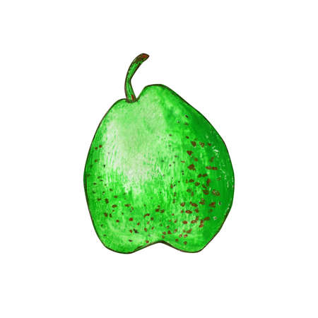 One pear isolated on a white background. Green fruit in brown spots. Hand-drawn oil pastel illustration for food label design. Eco product.の写真素材