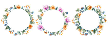 Round frames with watercolor wildflowers. Wreaths for a wedding on a white background with flowers of mallow, daisies, tansy, carnations. There is a place for text.の写真素材