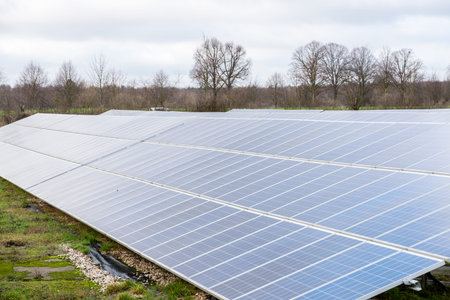 Large solar collectors on a meadow to generate electricity from the sun.