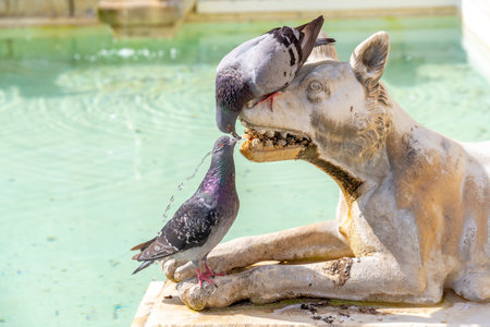 Two pigeons, one from above, one from below drink at a fountain in a city from a dog's snout from which the water gushes out for decorationの写真素材