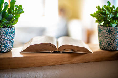 An old open book between two plants on a counter with a blurred light backgroundの写真素材