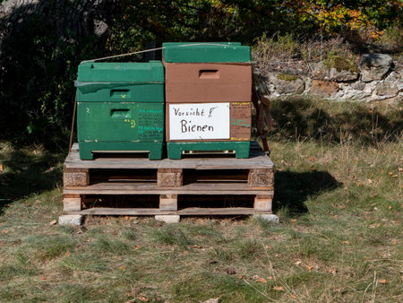 A beekeeper's hive in green and brown boxes, held together with a tension strap and placed on...