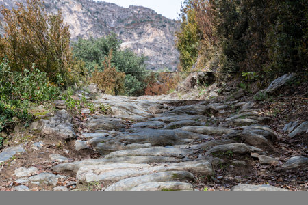 A hiking trail made of rough stone, which has developed naturally and is not very flat. There are trees and bushes to the left and right of the pathの写真素材