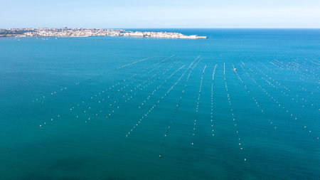 Large regatta field on the open seaの写真素材
