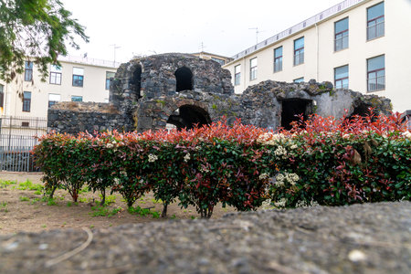 Stone Ruin Behind Hedge in Urban Areaの写真素材