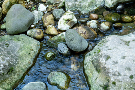 Stream with moss-covered stones in Pantalica gorge