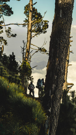 Wild and amazing nature among trees