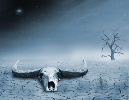 photomanipulation in blue tones of a skull in the desertの写真素材