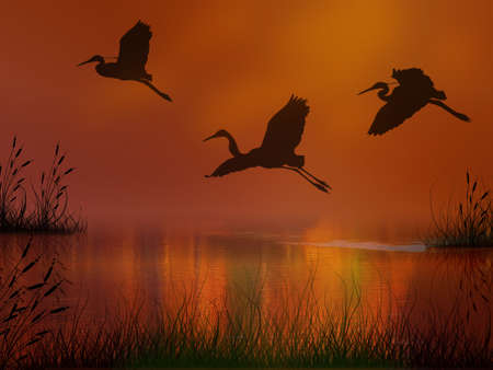 Three storks flying over the lake at the sunsetの写真素材