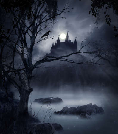 The castle in a swamp in a dark night with the moon illuminating the scene